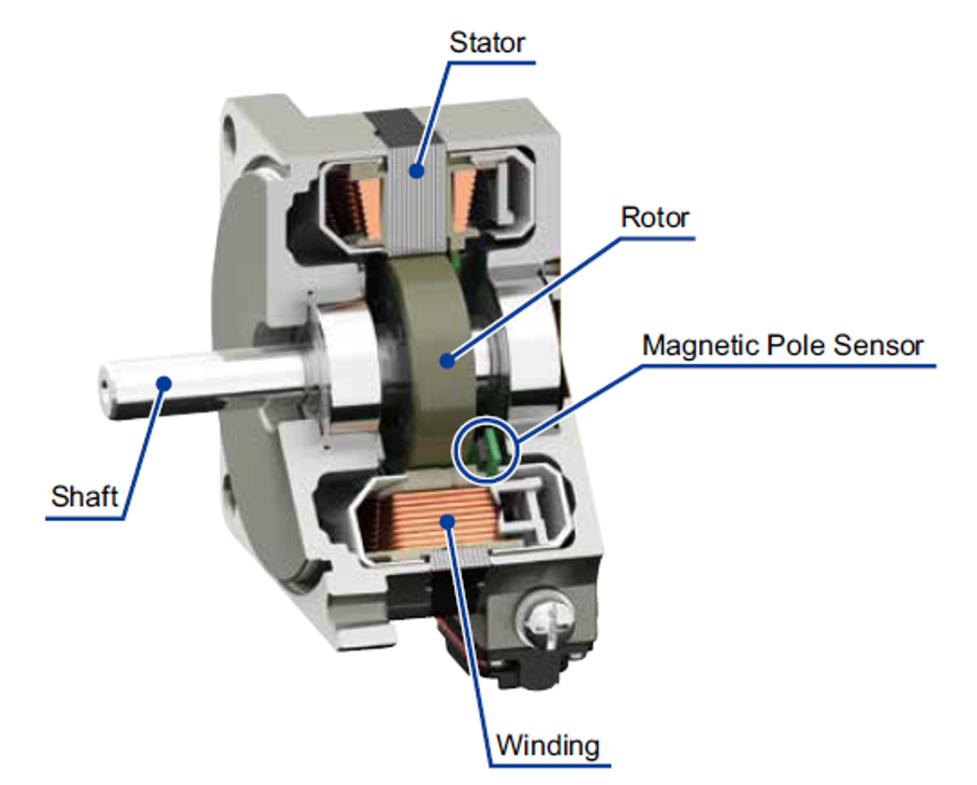 3D cross-section of inrunner motor [2]