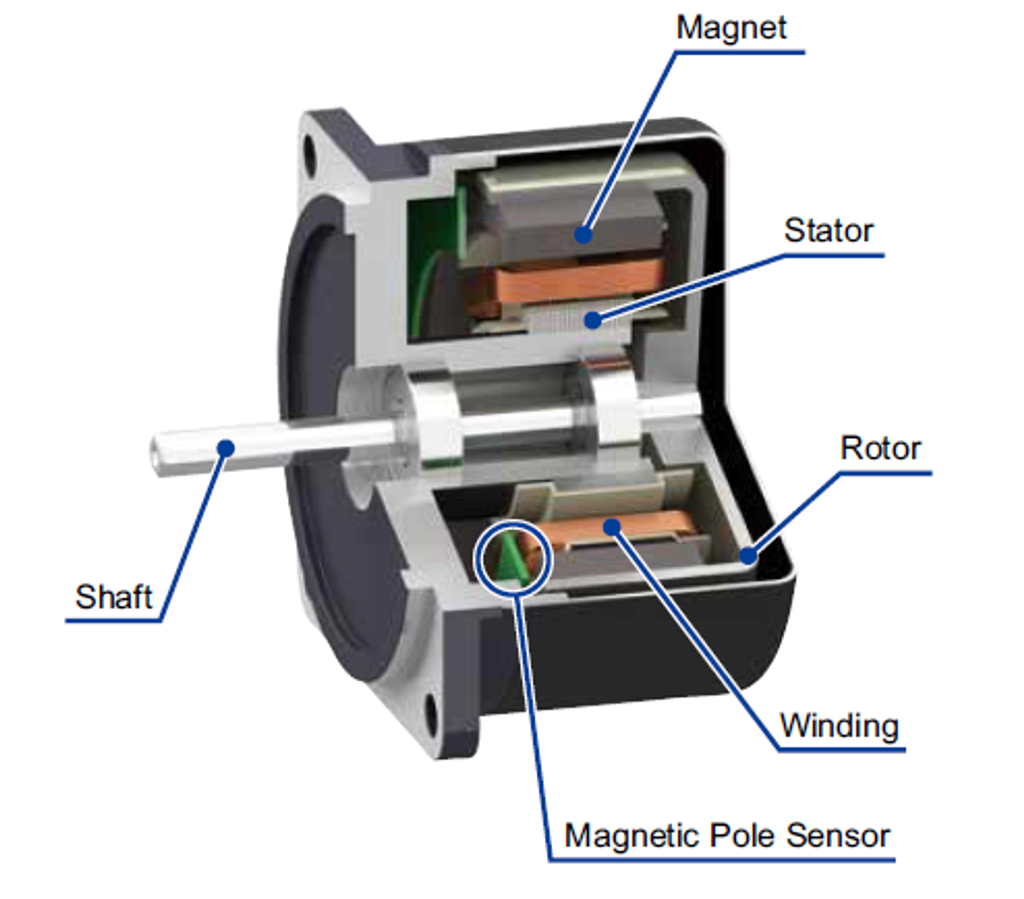 3D cross-section of outrunner motor [2]